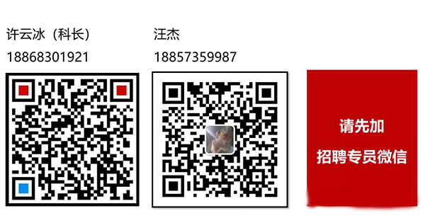 鼎美招聘人员
