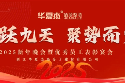 蛇跃九天，聚势而发——华夏杰2025新年晚会暨表彰盛宴圆满落幕